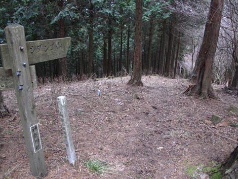 20160121hike (269)